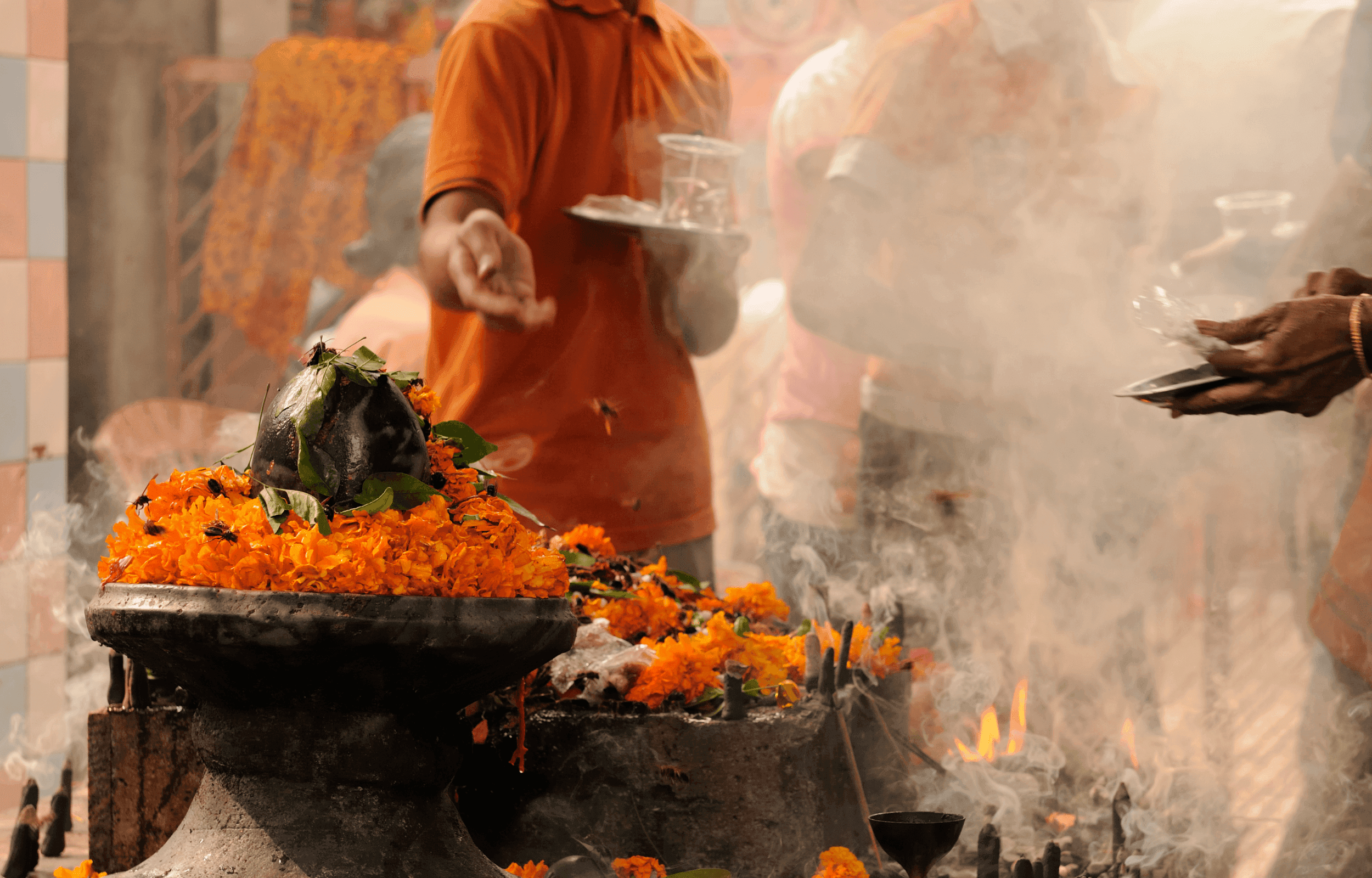 Guide de voyage Inde