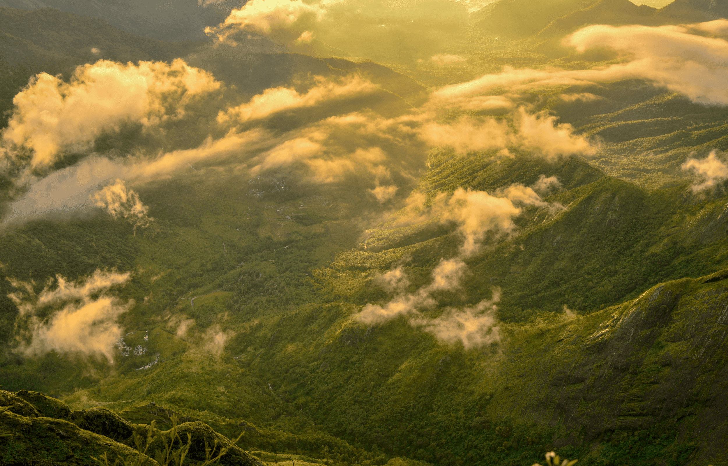 Quand partir en Inde