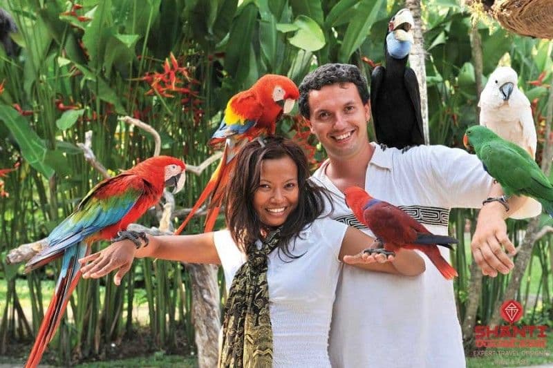 bien-preparer-son-voyage-de-noces-bali.htm