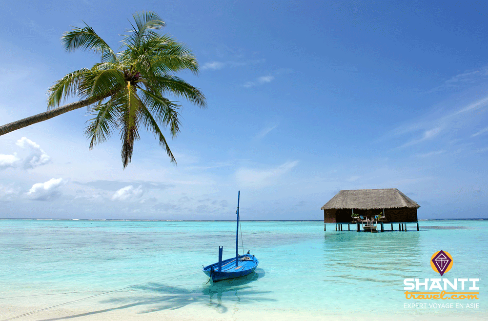bonnes-raisons-partir-maldives.htm