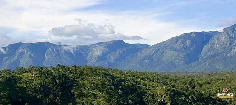 come-closer-nature-on-a-south-india-wildlife-tour.htm