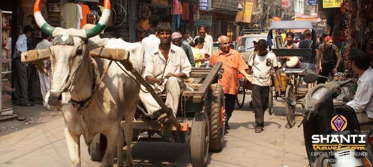 comment-surmonter-un-choc-culturel-en-inde.htm