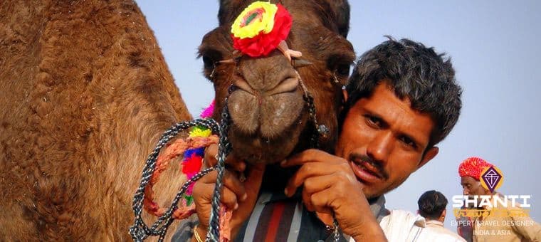 delhi-accueil-shanti-travel-les-expats-la-foire-de-pushkar.htm