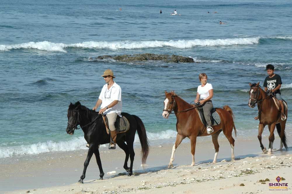 horseback-riding-tours-in-lombok-island.htm