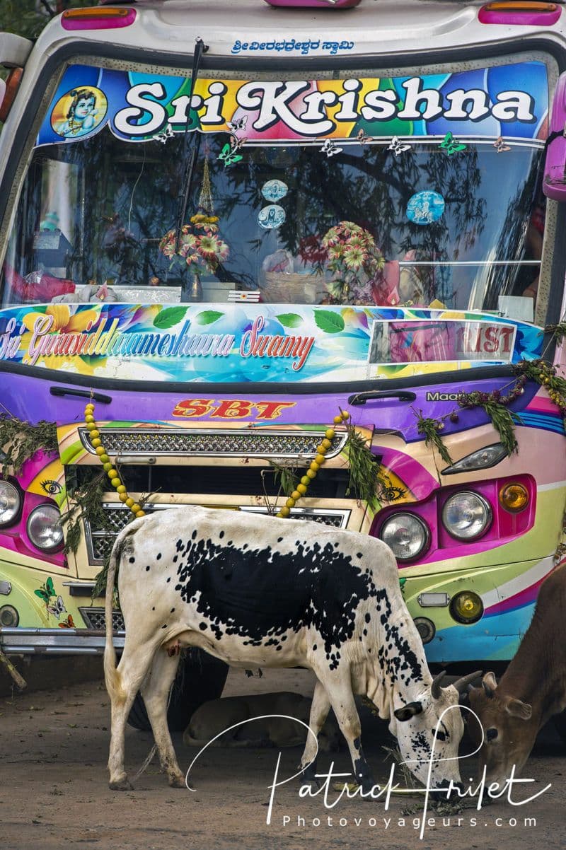 inde-le-festival-de-pongal.htm