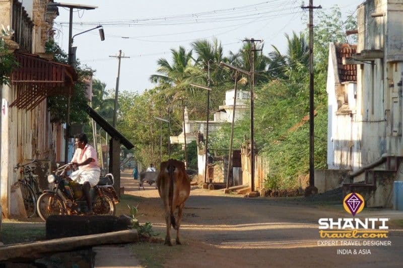 la-region-du-chettinad-une-etape-pour-decouvrir-le-tamil-nadu-autrement.htm