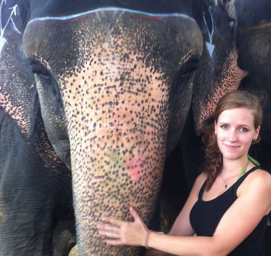 rencontre-avec-les-elephants-du-rajasthan.htm