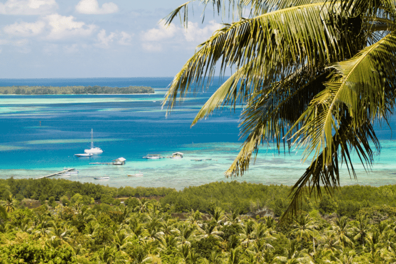 expats-ou-partir-asie-printemps.htm