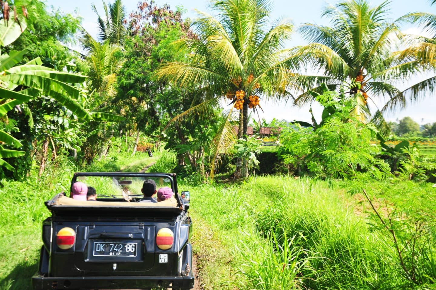 top-5-experiences-shanti-travel.htm