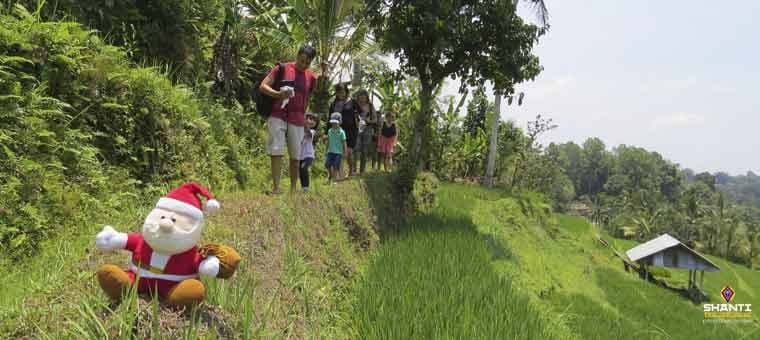 travel-to-bali-with-family-this-christmas.htm