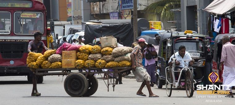 traveling-driver-sri-lanka-2.htm