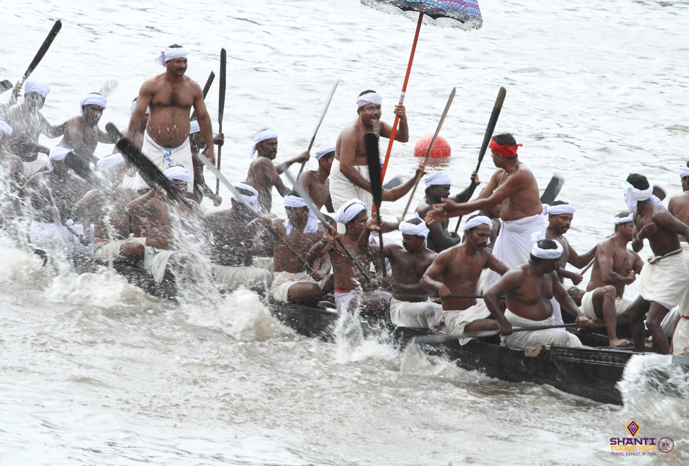 vallam-kali-kerala-snake-boat-races.htm