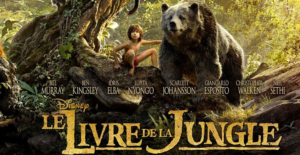 livre-de-la-jungle-madhya-pradesh.htm