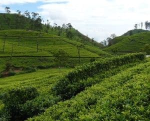 Abseits der Touristenpfade