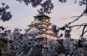 10 bonnes raisons de partir au Japon