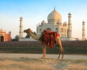 5 bonnes raisons de partir en voyage avec Shanti Travel en Inde