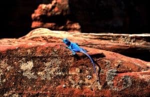 La Jordanie en chiffres