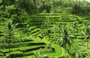 Conseils pour découvrir Bali hors des circuits classiques