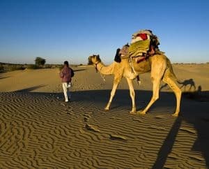 Vous allez aimer ces activités en Inde du Nord