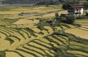 Voyage responsable au Bhoutan